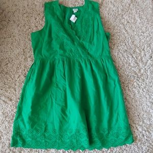 J Crew Kelly Green Eyelet Dress sz 20
